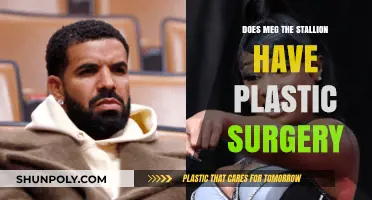 Meg Thee Stallion's Transformation: Plastic Surgery Speculations Explored