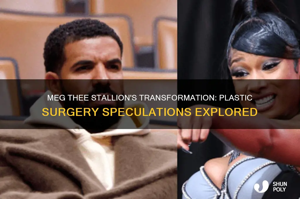 does meg the stallion have plastic surgery