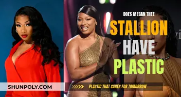 Megan Thee Stallion's Plastic Surgery: Real or Rumor?
