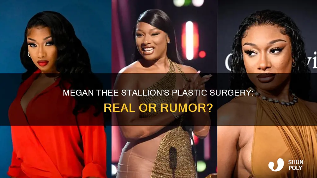 does megan thee stallion have plastic