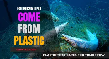 Fish Mercury: Plastic Pollution's Impact