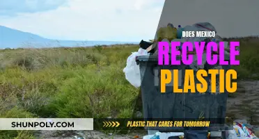 Mexico's Plastic Recycling Journey: Progress and Challenges