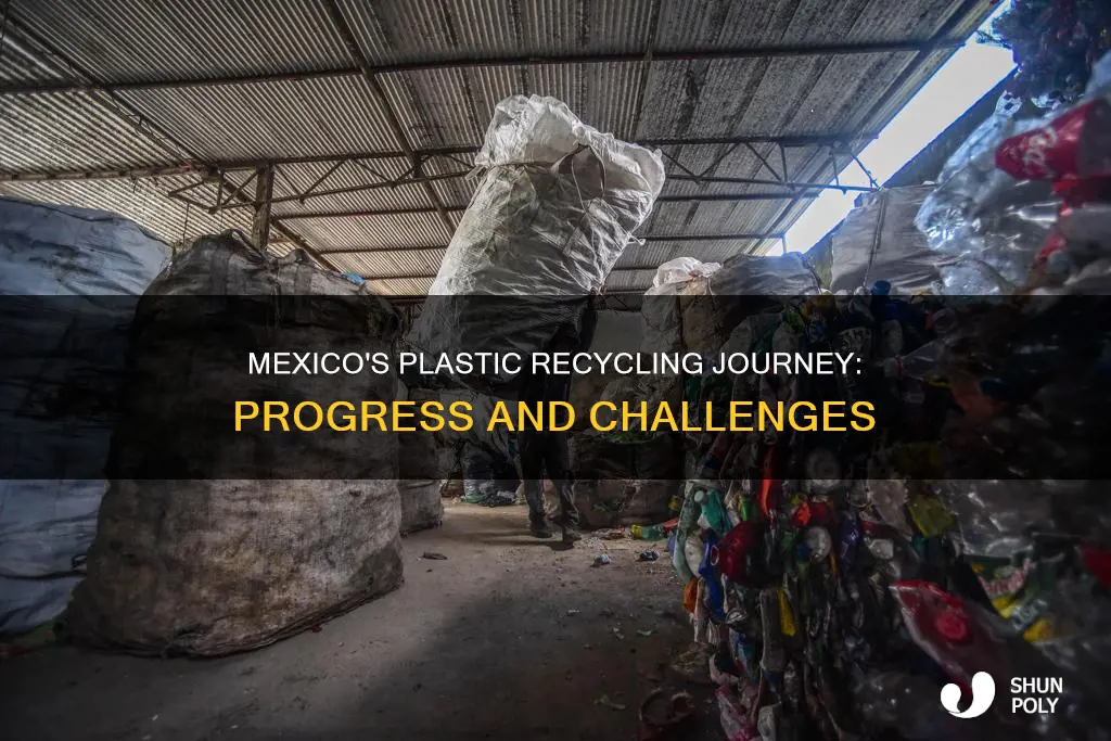 does mexico recycle plastic