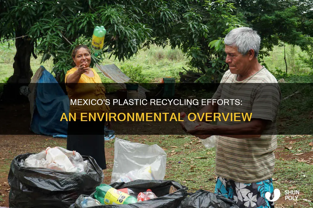 does mexico recycle plastic