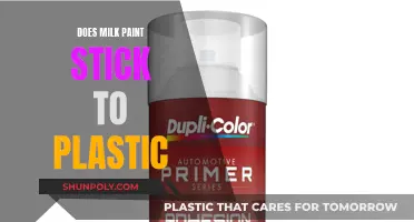 How to Paint Plastic with Milk Paint