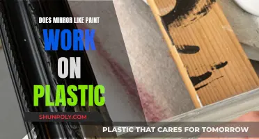 Mirror-Like Paint on Plastic: Does It Work?