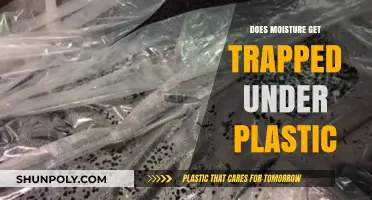 Moisture Under Plastic: Causes, Risks, and Prevention Tips