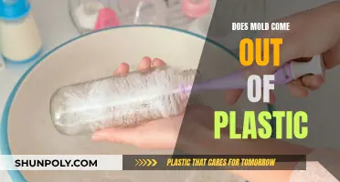 How to Remove Mold from Plastic