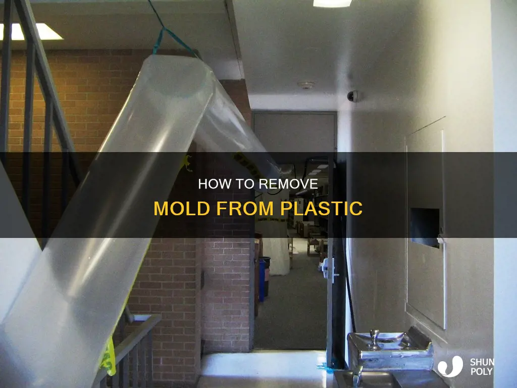 does mold come out of plastic