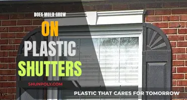 Mold on Plastic Shutters: What You Need to Know
