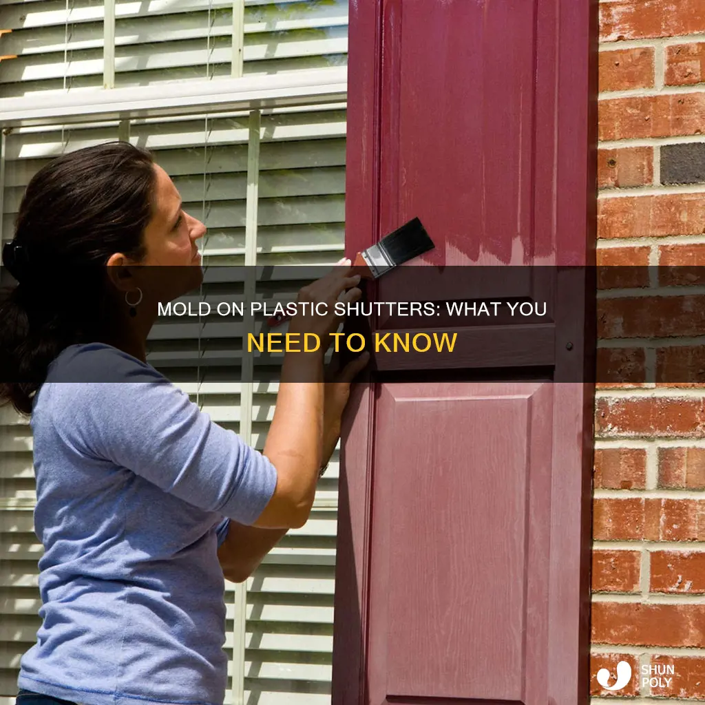 does mold grow on plastic shutters