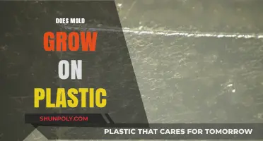 Unveiling the Truth: Can Mold Really Grow on Plastic Surfaces?