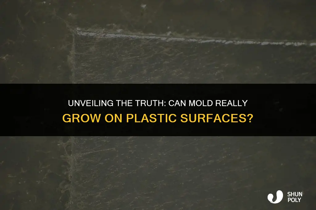 does mold grow on plastic