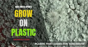 Mold Spores and Plastic: A Growing Concern?