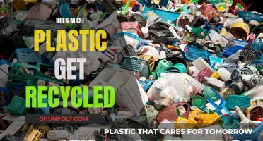 The Surprising Truth: Are We Recycling Plastic Enough?