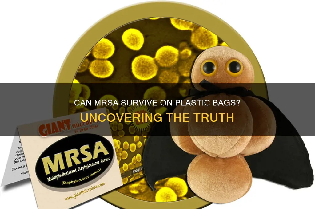 does mrsa live on plastic bags