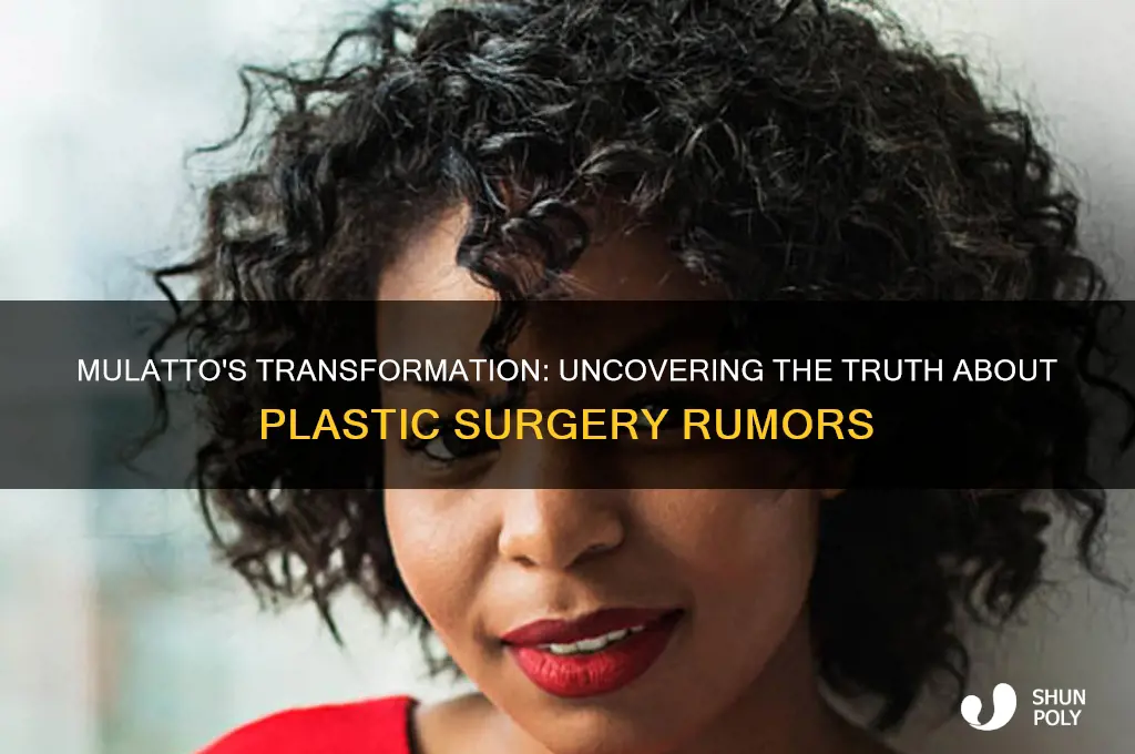 does mulatto have plastic surgery