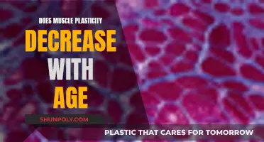 Muscle Plasticity: Age-Related Loss and Strategies