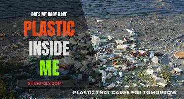 Plastic Inside Me: Is My Body Affected?
