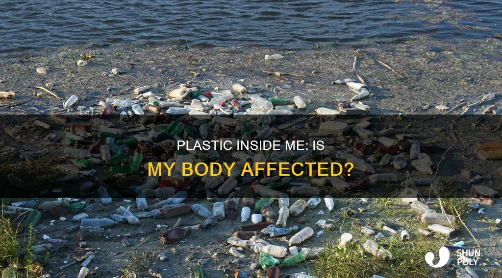 does my body have plastic inside me