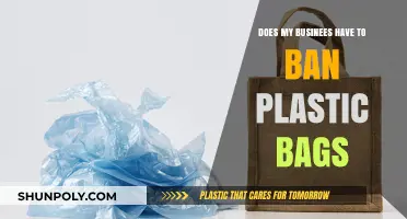 Should Your Business Ban Plastic Bags? Environmental Impact and Alternatives