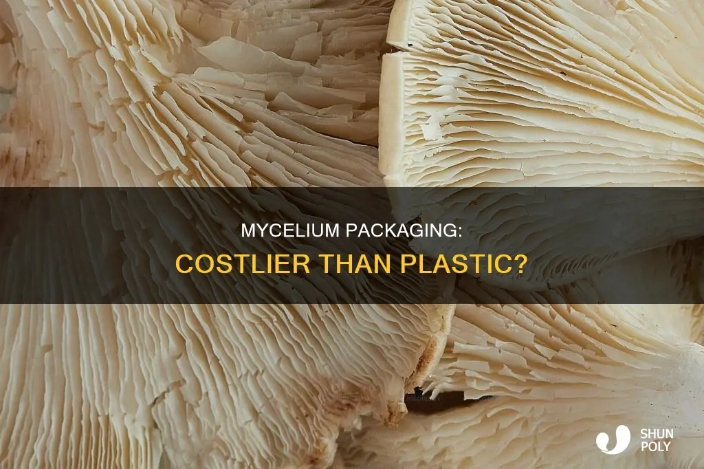 does mycelium packaging cost more than plastic