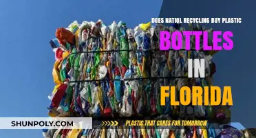 Does National Recycling Accept Plastic Bottles in Florida?