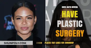 Naya Rivera's Transformation: Plastic Surgery Speculations and Truths Revealed