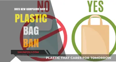 New Hampshire's Plastic Bag Policy: Is There a Ban in Place?