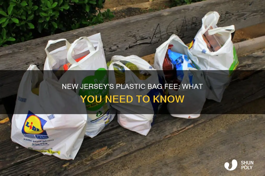 does new jersey charge for plastic bags