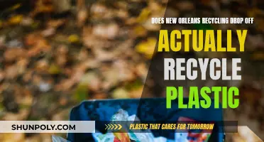 New Orleans Recycling: Unveiling the Truth Behind Plastic Drop-Off