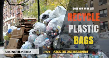 Does NYC Recycle Plastic Bags? Unpacking the City's Waste Policies