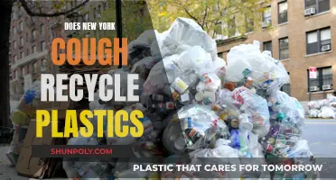 New York's Plastic Recycling Revolution: Uncovering the Truth