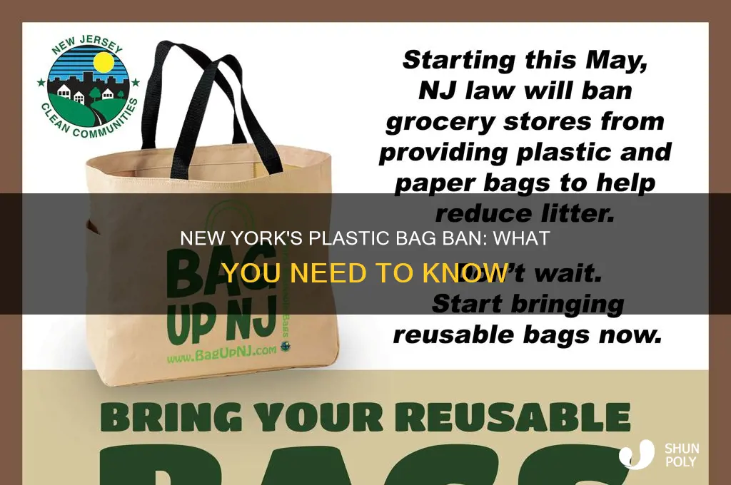 does new york have a plastic bag ban