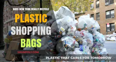 Does New York Truly Recycle Plastic Shopping Bags? Unveiling the Truth