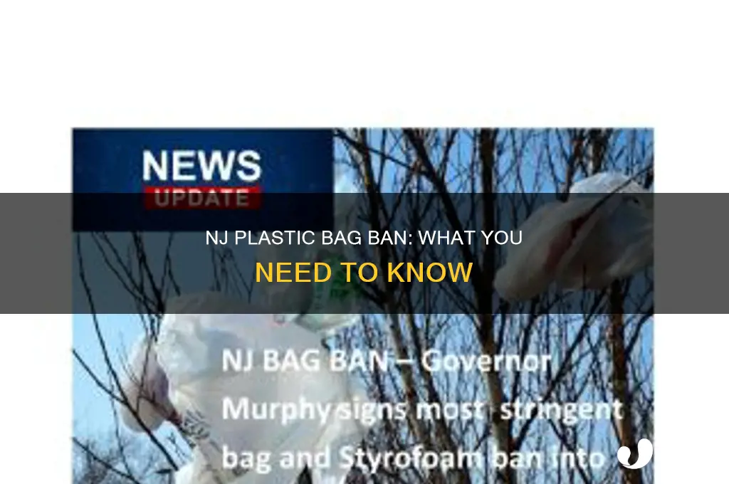 does nj have a plastic bag ban