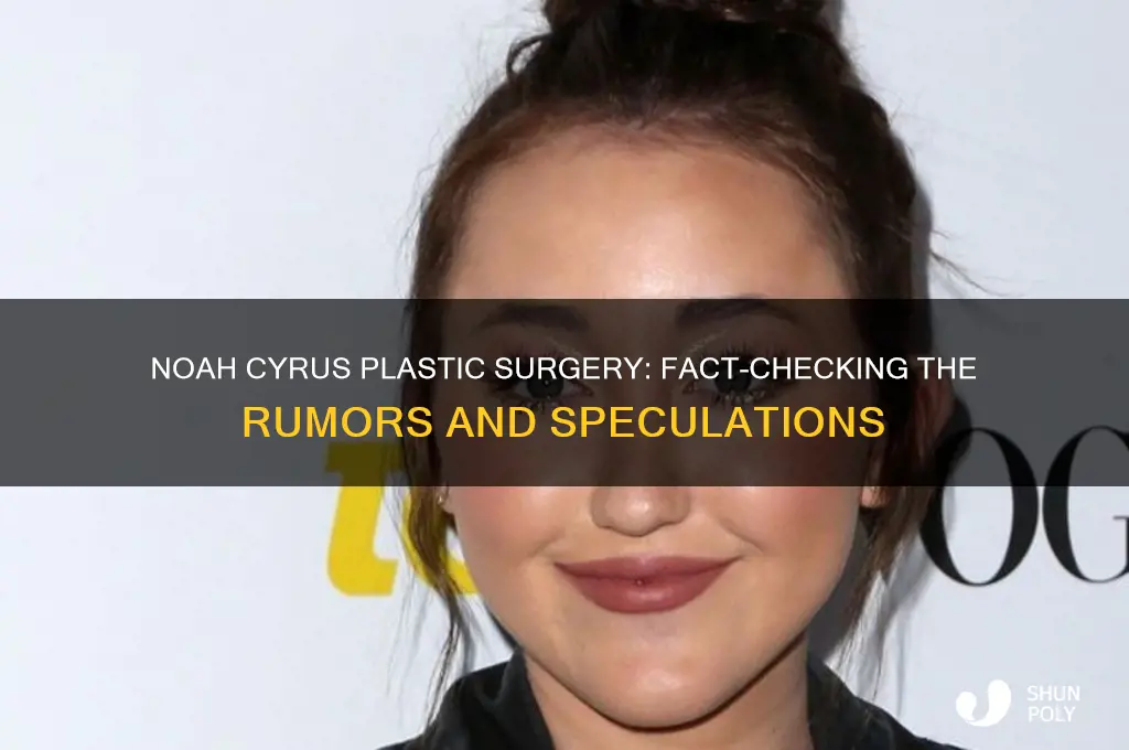 does noah cyrus have plastic surgery