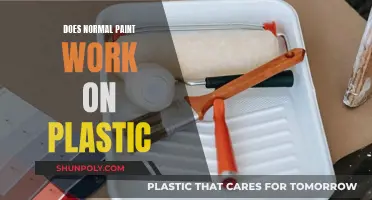 Painting Plastic: Does Regular Paint Work?