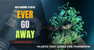 Plastic's Permanent Legacy: Does it Ever Truly Disappear?