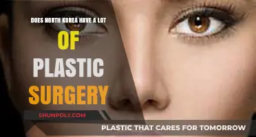 North Korea's Plastic Surgery Trends: Fact or Fiction?