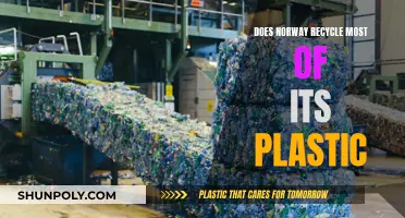 Norway's Plastic Recycling: A Global Leader's Success Story