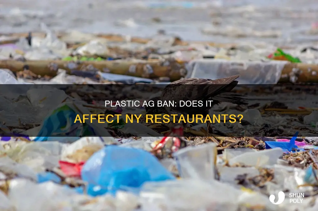 does ny plastic ag ban include restaurants