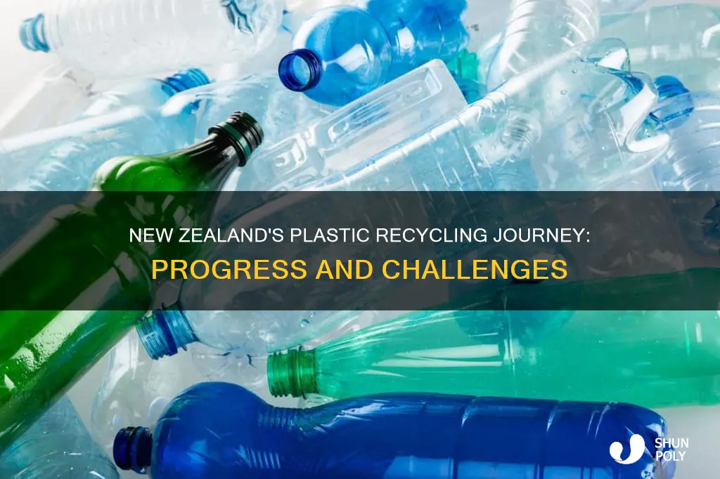 does nz recycle plastic