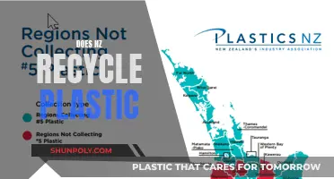 Recycling in NZ: Where Does Plastic Waste Go?