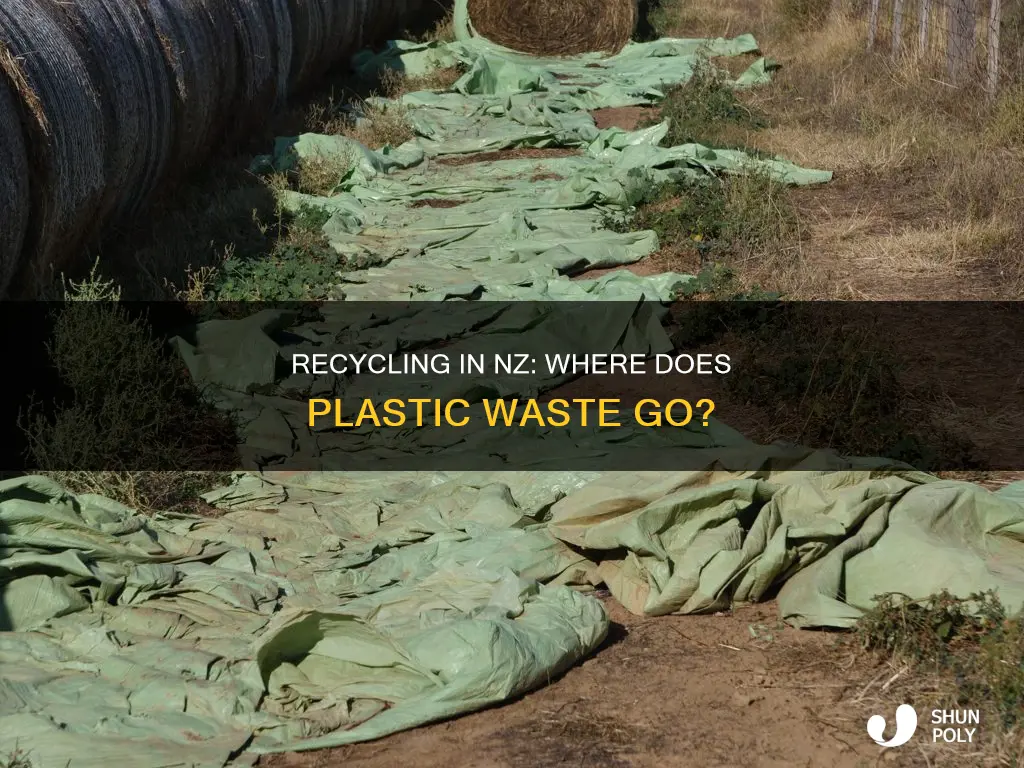 does nz recycle plastic