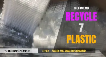 Unveiling Oakland's Plastic Recycling Mystery: Does It Work?