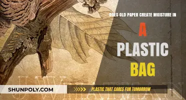 Old Paper in Plastic Bags: Does It Cause Moisture Buildup?