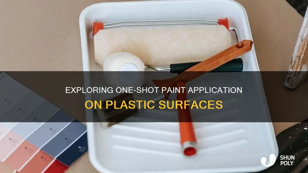 does one shot paint work on plastic
