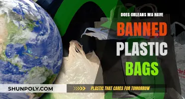 Orleans, MA Plastic Bag Ban: What You Need to Know