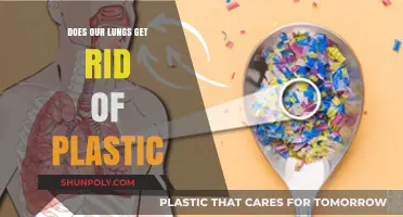 Can Our Lungs Eliminate Plastic Particles? Unveiling the Truth